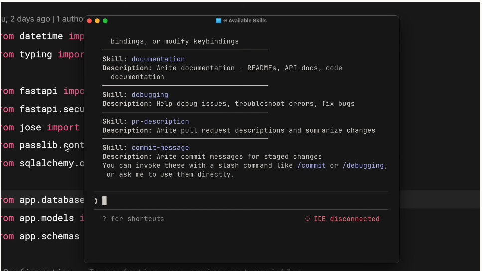 Skill 一覧（documentation・debugging・pr-description 等）が表示された画面